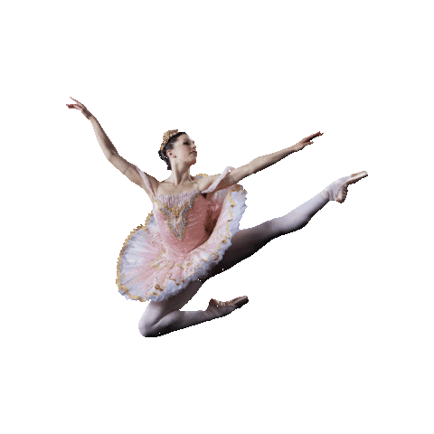 RichmondBallet giphygifmaker richmond ballet Sticker