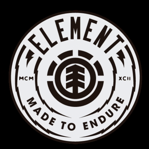 Elementargentina giphygifmaker elementargentina GIF