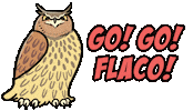 Eagle Owl Bird Sticker