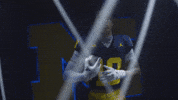 Go Blue Michigan Football GIF by Michigan Athletics