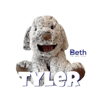 Tyler Hearts Sticker by Beth School