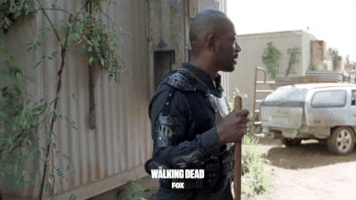 the walking dead fox GIF