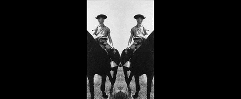 Horses Horse Riding GIF by US National Archives