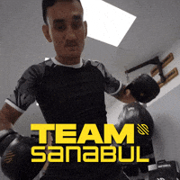 Max Holloway Ufc GIF by Sanabul