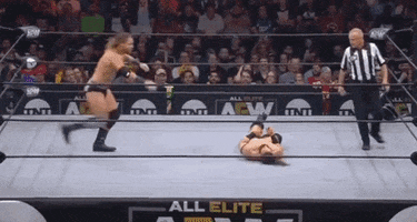 Wrestle Chris Jericho GIF by All Elite Wrestling on TNT