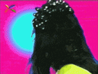 Sok Od GIF