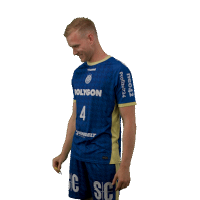 Handball Sticker by DAIKIN HBL