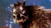 wolfman GIF