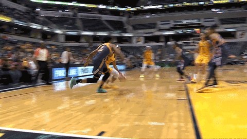 basketball sport GIF by Indiana Fever