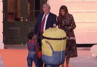 news halloween donald trump trick or treat minion GIF