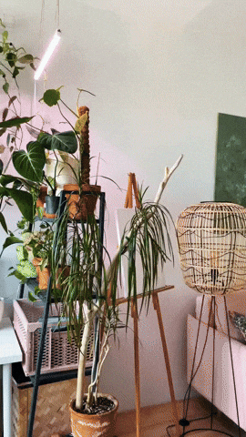 e-Kazan giphyupload GIF