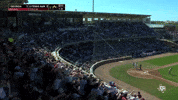 College Baseball Sec GIF by Texas A&M Athletics