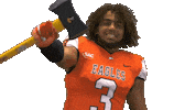 Ball Flex Sticker by Carson-Newman Athletics