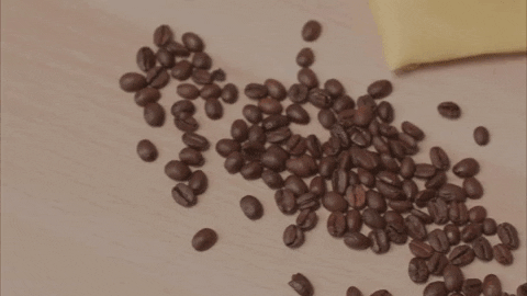 Cup Of Coffee GIF by GIPHY Studios 2021