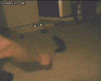 night run GIF