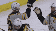 ice hockey hug GIF by NHL