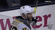 ice hockey sport GIF by NHL