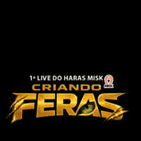 Mangalarga Marchador GIF by Haras Misk