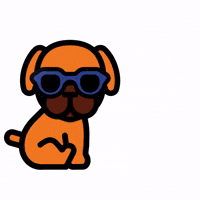 You Are The Best Wow GIF