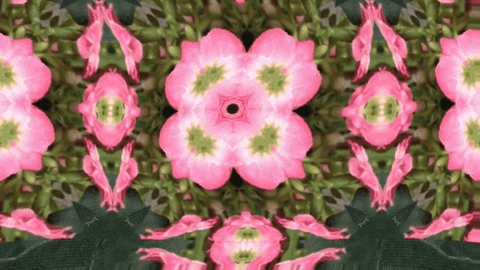 Art Color GIF by jorgemariozuleta