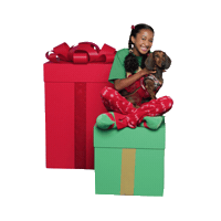 Christmas Holiday Sticker by Five Below