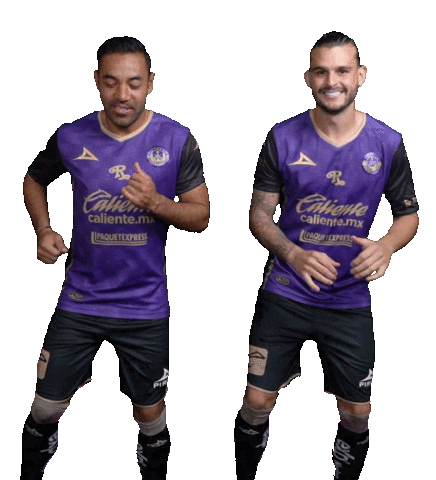 Liga Mx Marco Sticker by Mazatlán F.C.