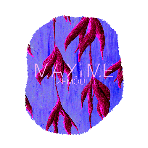 Sticker by Maxime Zemouli