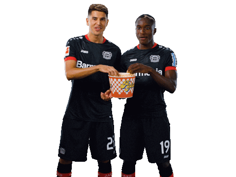 Bayer 04 Popcorn Sticker by Bayer 04 Leverkusen