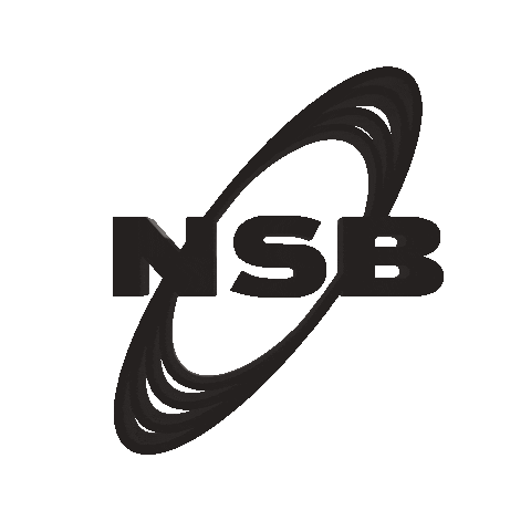 noirsurblancrec giphyupload label nsb nsbrec Sticker