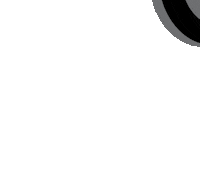 NoluStudios photography studio photographer approved Sticker