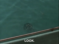 nickrewind nicksplat are you afraid of the dark the tale of the dead mans float GIF