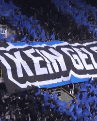 Fans GIF by Club Brugge