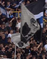 Fans GIF by Club Brugge