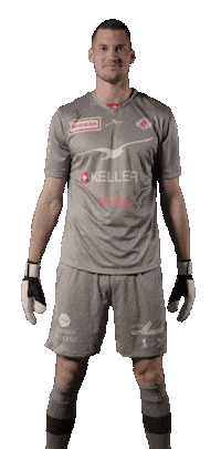 Soccer Raphael Sticker by FC Winterthur