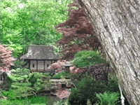 Kyoto Hello GIF by Phoebe Bridgers