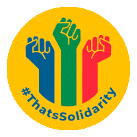 South Africa Power Sticker by Solidarity Fund