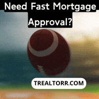 Super Bowl Touchdown GIF by Trealtorr