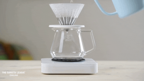 Coffee Pour Over GIF by The Barista League