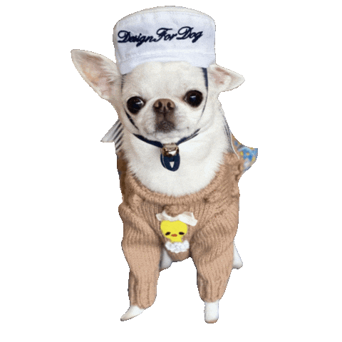 Dog Sticker