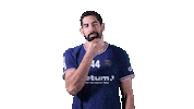 Nikola Karabatic Sport Sticker by Paris Saint-Germain Handball