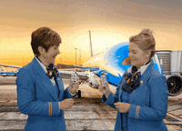 Royal Dutch Airlines Travel GIF by KLM