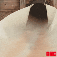 7 Little Johnstons Ride GIF by TLC