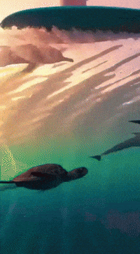 Chile GIF
