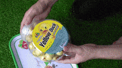 ExperimenMeatGrinder funny yellow underground experiments GIF