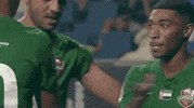 Cant Hear Al Ahli GIF by The Arabian Gulf League