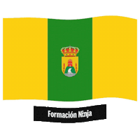 Flag Spain Sticker by Formación Ninja