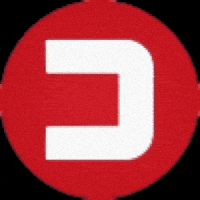 Calcalistil logo news media finance GIF