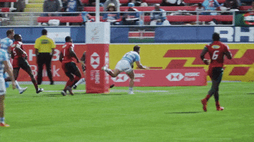 dance fail GIF by World Rugby