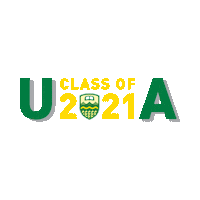 Golden Bears Bear Sticker by UAlberta Business