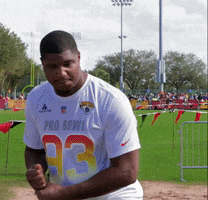 Jacksonville Jaguars Football GIF by NFL